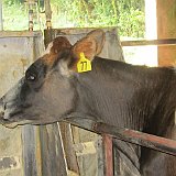 Costa Rica20150406-1535-0306